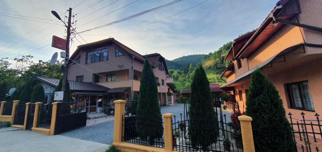 Pensiunea Apuseni Vidra  Exterior photo