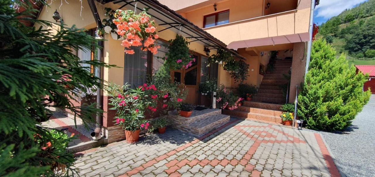 Pensiunea Apuseni Vidra  Exterior photo