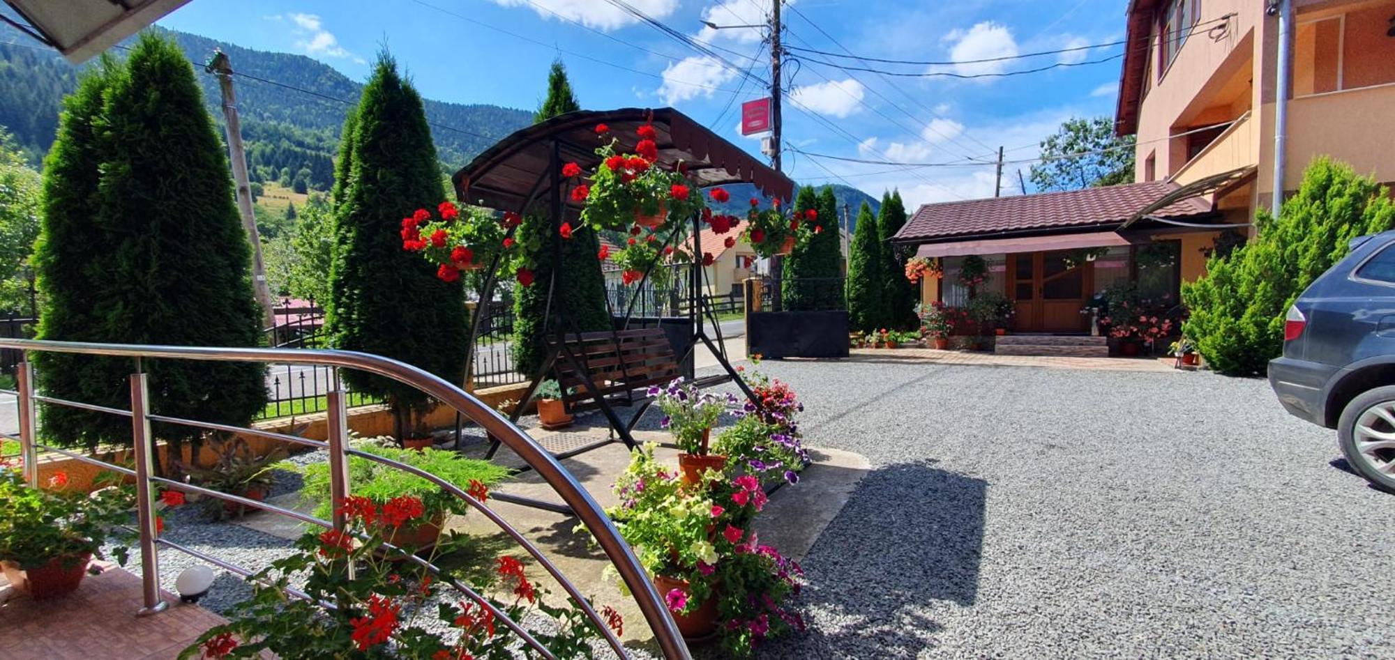 Pensiunea Apuseni Vidra  Exterior photo